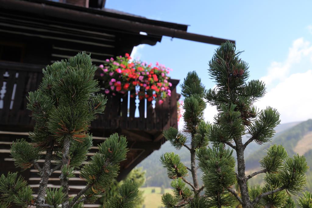 卢娜其尔豪夫旅馆加公寓 巴德小基希海姆 外观 照片
